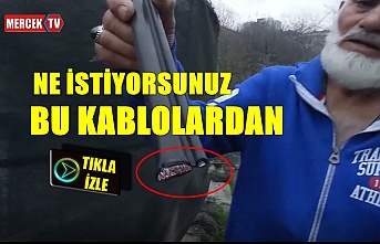Habibler'de Telefon Kabloları Yine Saldırıya Uğradı !.