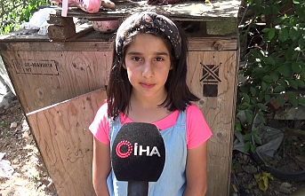 Sultangazi'de tavuk hırsızları bir gecede onlarca kümesi boşalttı