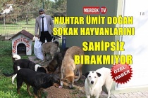 Muhtar Ümit Doğan Sokak Hayvanlarını Sahipsiz Bırakmıyor !.