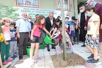 Sultangazi Belediyesi Yeni Bir Ağaç Dikim Seferberliği Başlattı  