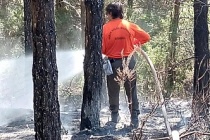 Sultangazi Kent Ormanı'nda korkutan yangın