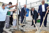 Sultançiftliği Mahallesi’nde Ağaç Dikim Şenliği