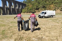 Alibey Barajı’ndaki köpek ölülerini İSKİ temizlemeyince, Sultangazi Belediyesi topladı