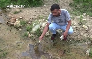 Sultangazi 'de Alibeyköy barajına akan dere...