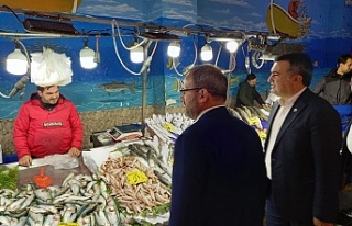 ALTAN: DAR BOĞAZDAN ANCAK DAVUTOĞLU KURTARIR!
