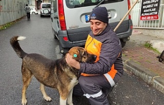 Sultangazi'de temizlik işçisi ile köpeğin...